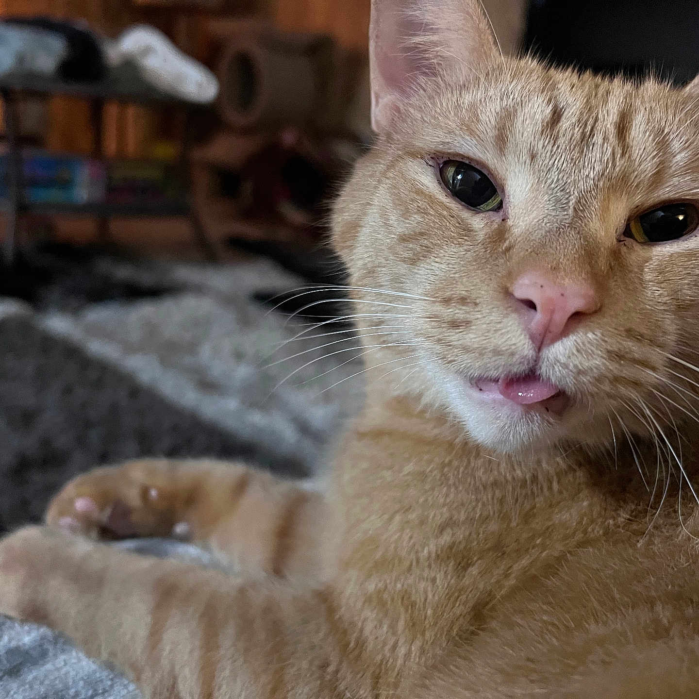 Simba Puckett