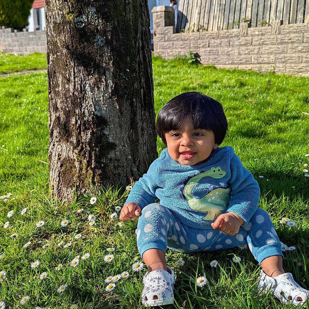 Aavyan joined the competition — help win amazing prizes! blue_clothing, casual_wear, child, cute, daisies, daylight, fence, grass, greenery, house, nature, outdoor, person, sitting, smiling, sneakers, sunny, toddler, tree, young_child