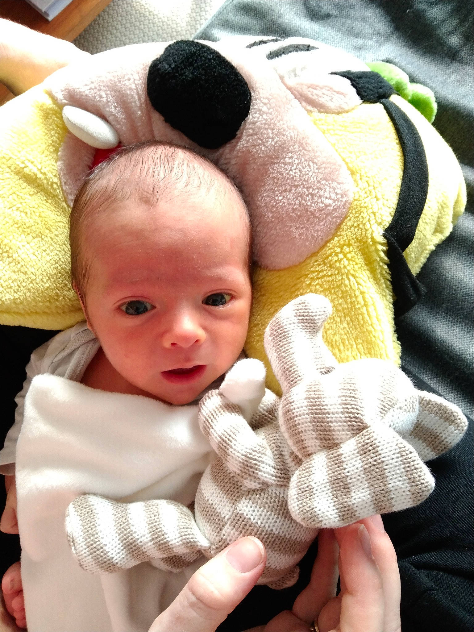 Arthur a rejoint le concours — aidez-le/la à gagner de superbes lots ! baby, baby_sleeping, baby_toddler_clothing, cheek, comfort, eye, face, finger, gesture, hand, happy, head, mammal, mouth, nose, person, skin, textile, thumb, toddler