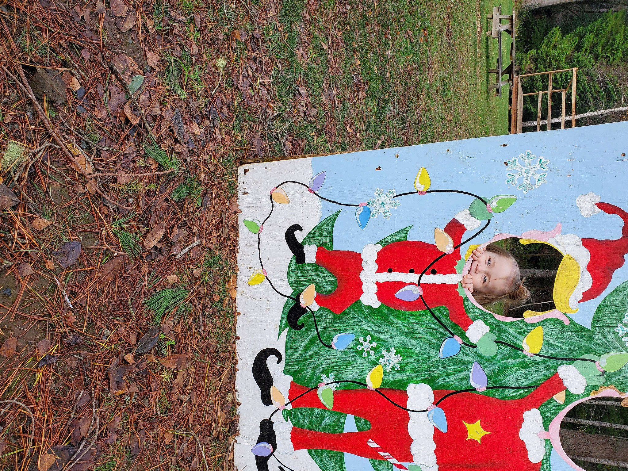 Carmella joined the competition — help win amazing prizes! autumn, paint, painting, person