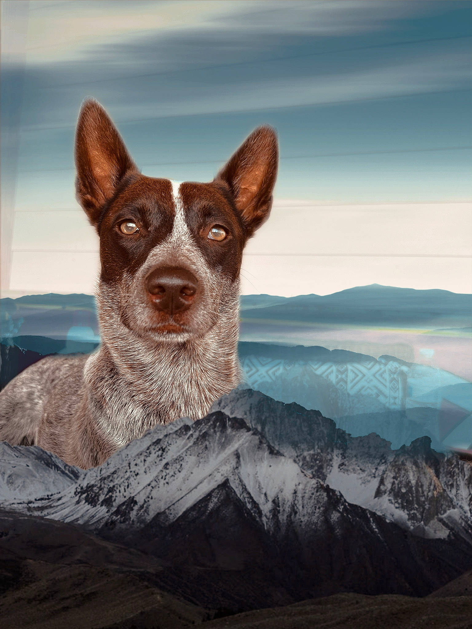 Aggie Lou is registered to the contest to win money with this photo: art, canidae, carnivore, cloud, companion_dog, dog, dog_breed, fawn, hill, hunting_dog, landscape, mountain, mountain_range, non_sporting_group, sky, snout, sporting_group, texas_heeler, whiskers, working_animal