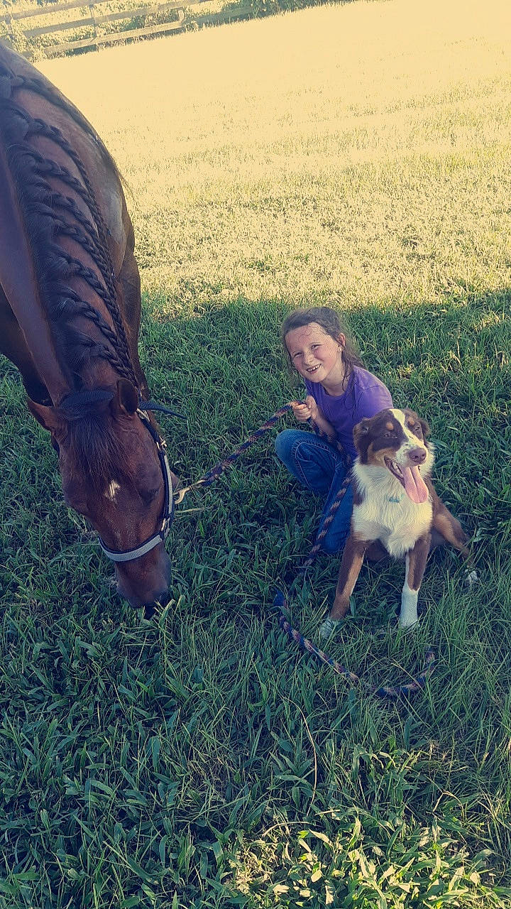 Baylie is registered to the contest to win money with this photo: bit, bridle, dog_breed, fawn, field, grass, halter, horse, horse_supplies, horse_tack, human, joy, liver, livestock, mane, mare, people_in_nature, person, prairie, rein