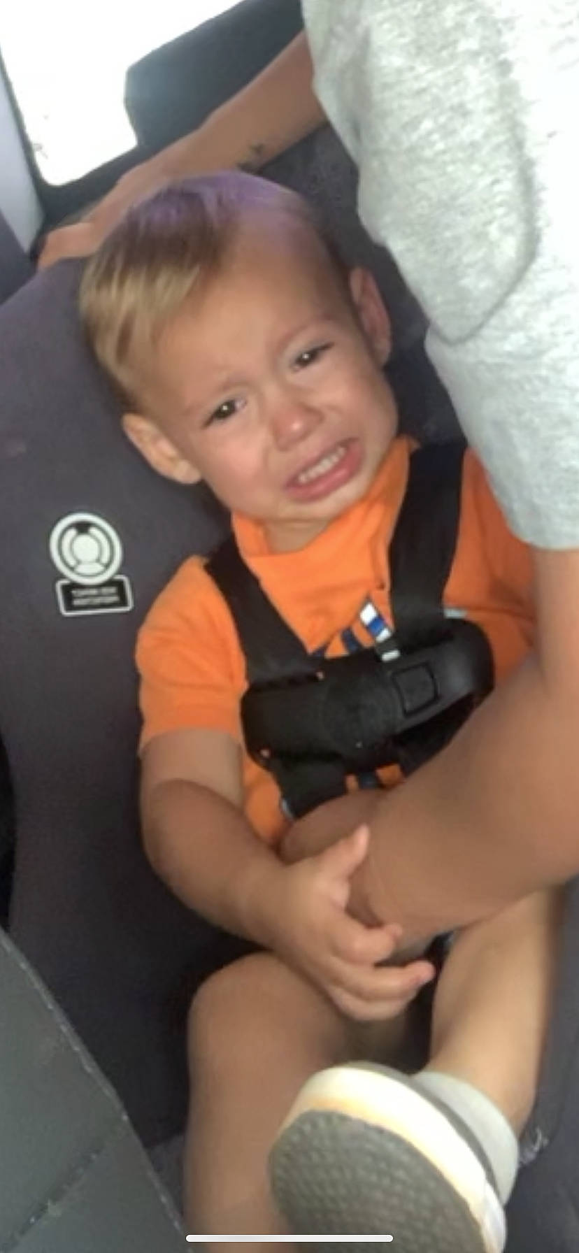 Kaiser joined the competition — help win amazing prizes! arm, auto_part, baby, car_seat, child, person, photography, seat_belt, smile, sorrow, thigh, thumb, toddler