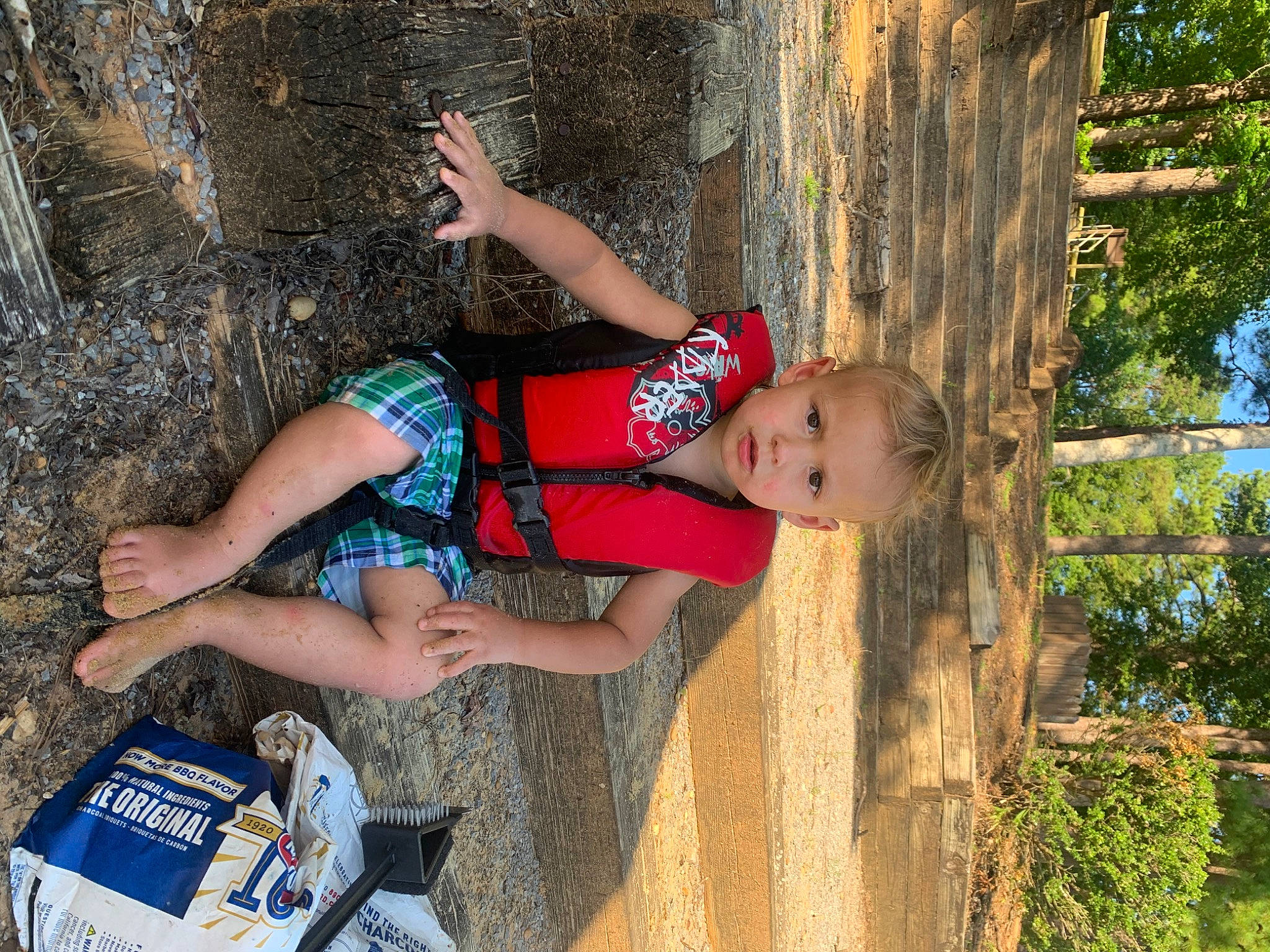 Kaiser is registered to the contest to win money with this photo: child, fun, leisure, person, plant, sorrow, tree, vacation