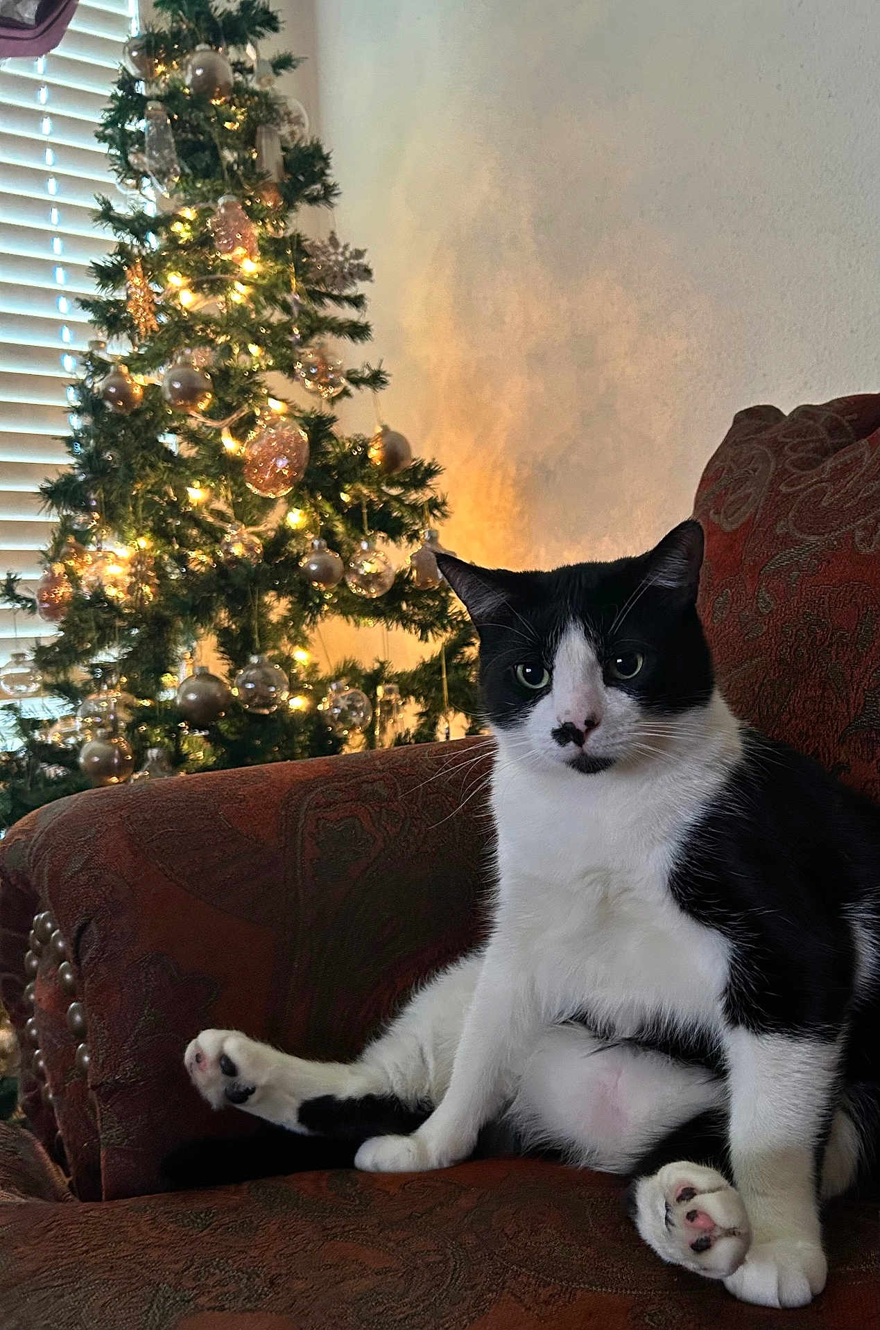 Sylvester