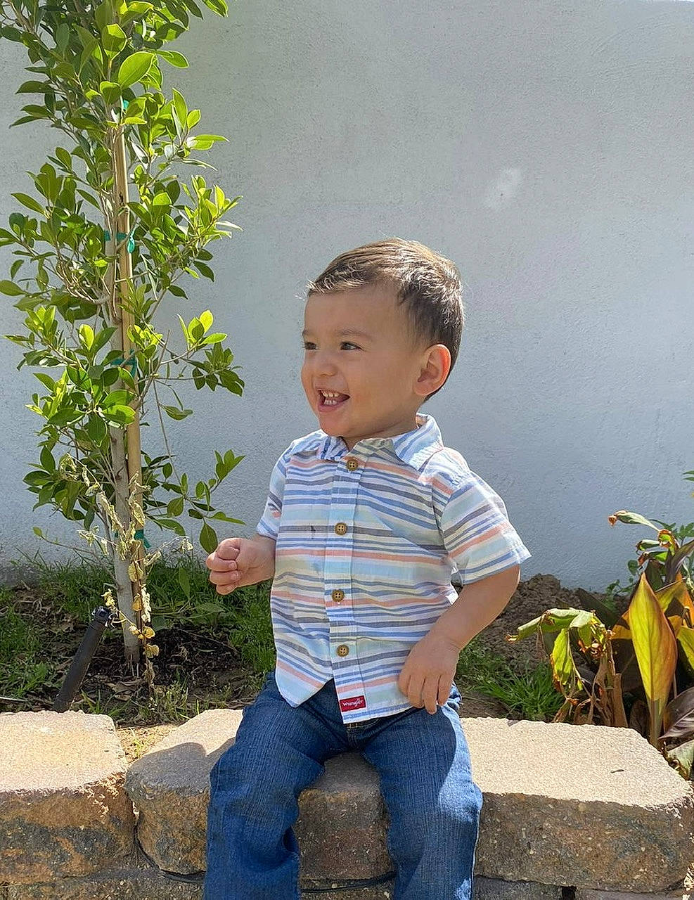 Alejandro joined the competition — help win amazing prizes! baby_toddler_clothing, bicycle_wheel, child, denim, fun, grass, happy, jeans, joy, leisure, people_in_nature, person, plant, portrait_photography, sitting, sky, smile, t_shirt, tire, toddler