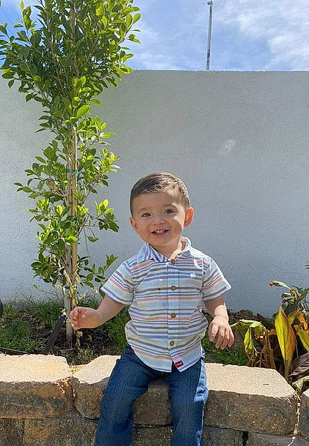 Alejandro is registered to the contest to win money with this photo: baby_toddler_clothing, bicycle_wheel, child, clothing, cloud, denim, flowering_plant, fun, garden, grass, happy, jeans, joy, leisure, people_in_nature, person, plant, shrub, sky, smile