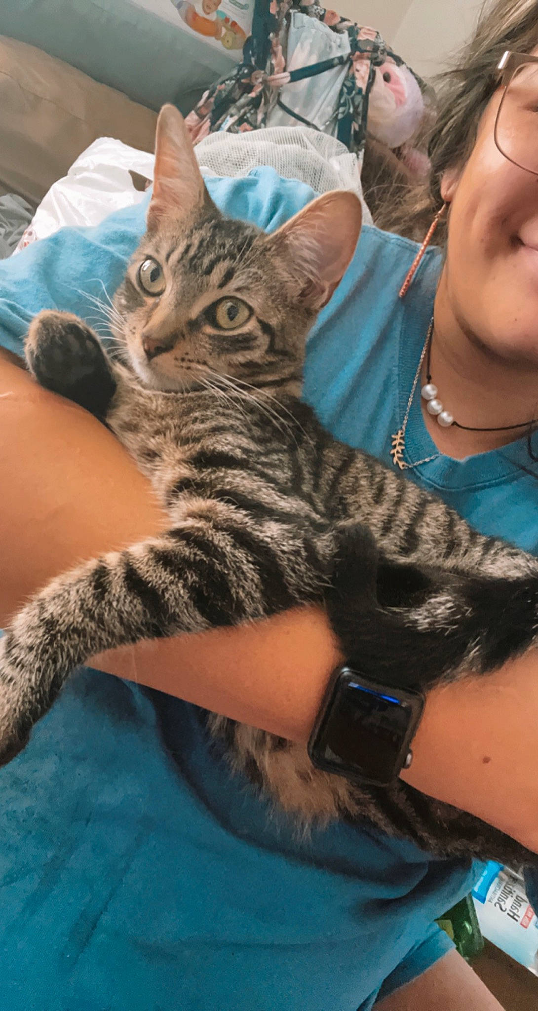 Juju is registered to the contest to win money with this photo: arm, blue, bracelet, carnivore, cat, comfort, domestic_short_haired_cat, eyewear, felidae, fur, hand, jewellery, lap, mammal, sitting, small_to_medium_sized_cats, snout, vertebrate, whiskers, wildlife