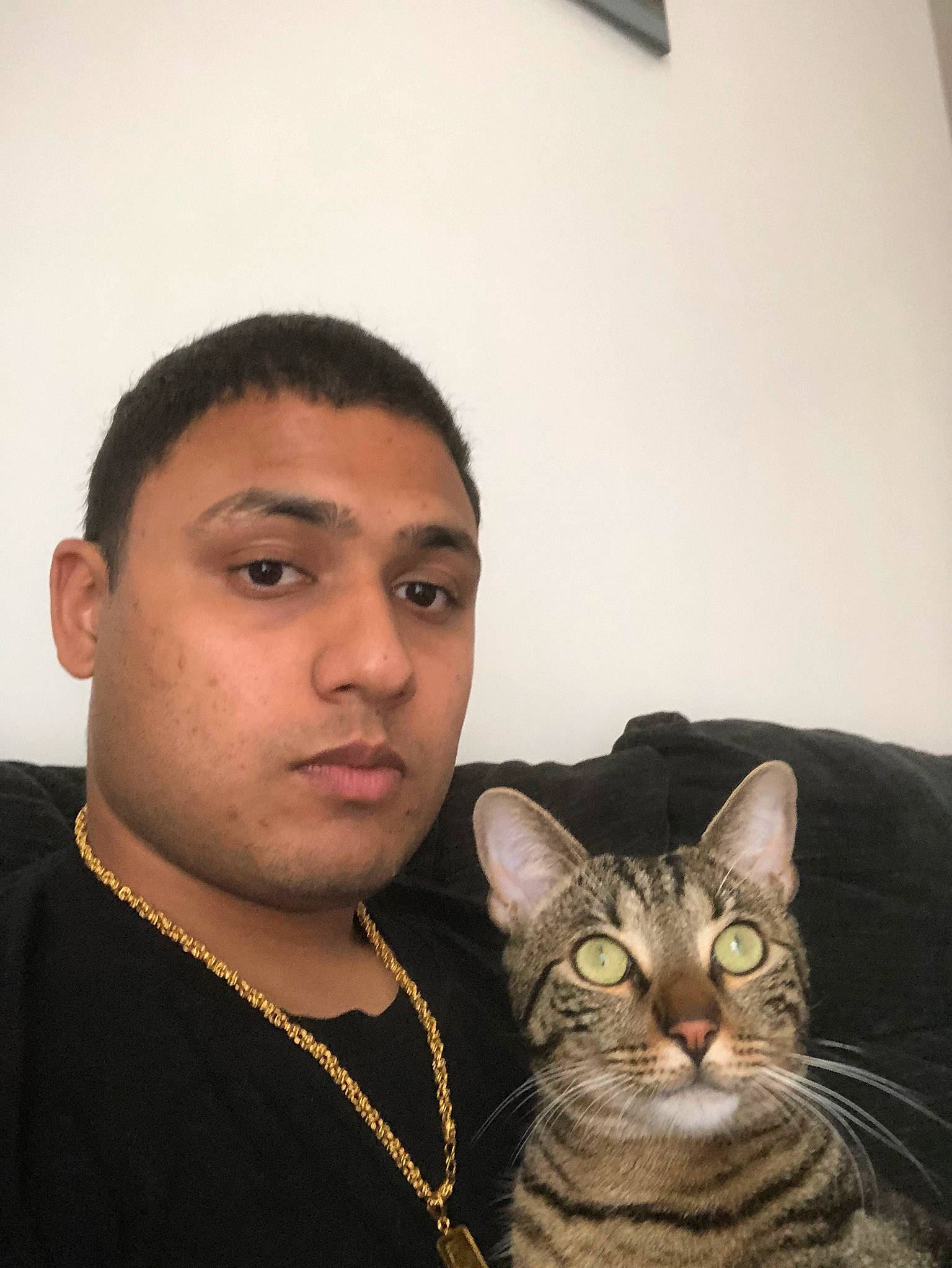 Boubi participe au concours pour gagner de l'argent avec cette photo : beard, caesar_cut, carnivore, cat, comfort, crew_cut, domestic_short_haired_cat, ear, eyebrow, eyelash, facial_hair, felidae, fur, jaw, jewellery, selfie, small_to_medium_sized_cats, snout, t_shirt, whiskers