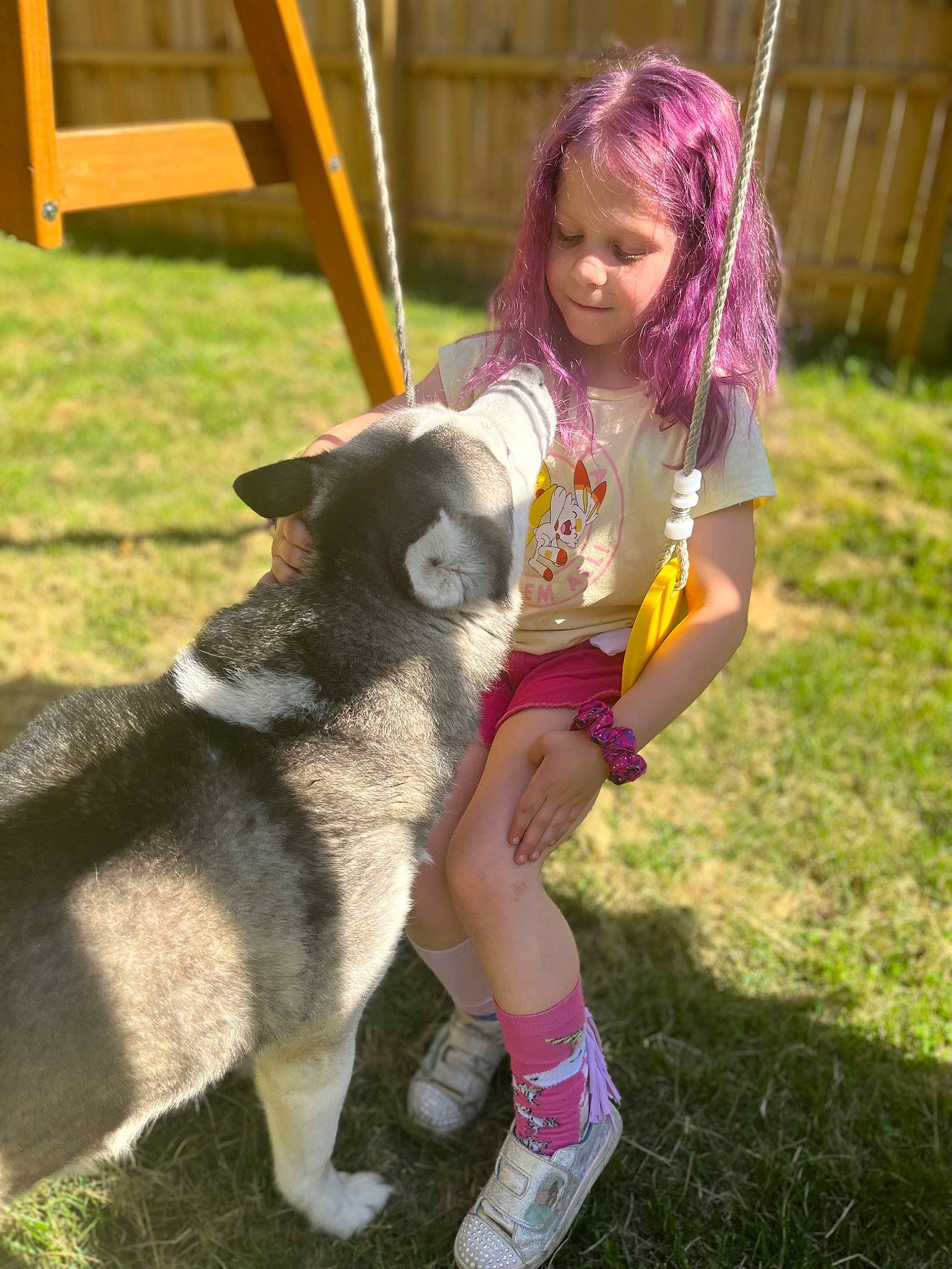 Piper is registered to the contest to win money with this photo: carnivore, child, companion_dog, dog, dog_breed, fawn, fun, grass, hair, happy, head, human_leg, leisure, magenta, person, recreation, sitting, summer, tail, thigh