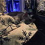 cat, gray_cat, blanket, snowflake_pattern, tinsel, window, night, indoor, cozy, pet, animal, relaxing, holiday_decor, fabric, soft_lighting, furniture, home, cute, sleepy, paw