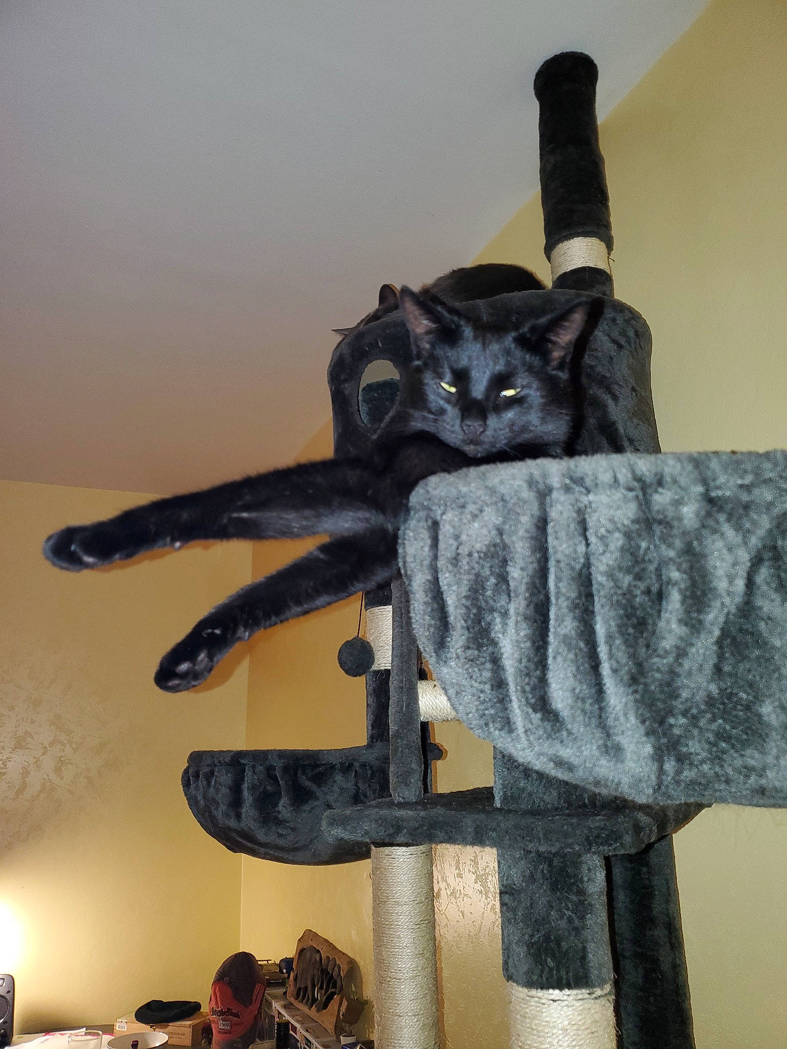 Dennis participe au concours pour gagner de l'argent avec cette photo : art, cat, felidae, russian_blue, sculpture, small_to_medium_sized_cats