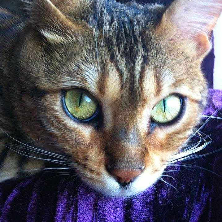 Maggie is registered to the contest to win money with this photo:
