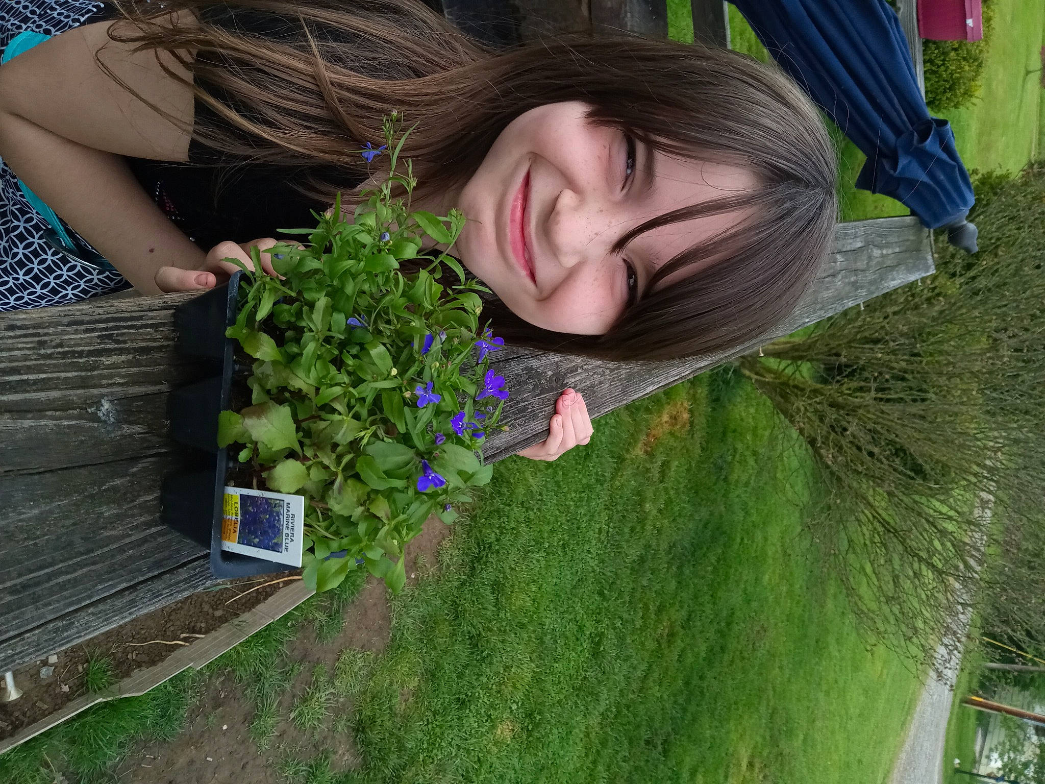 Morganna is registered to the contest to win money with this photo: annual_plant, flower, fun, grass, grass_family, grassland, green, groundcover, happy, joy, landscape, lawn, nature, people_in_nature, person, petal, plant, shrub, smile, summer