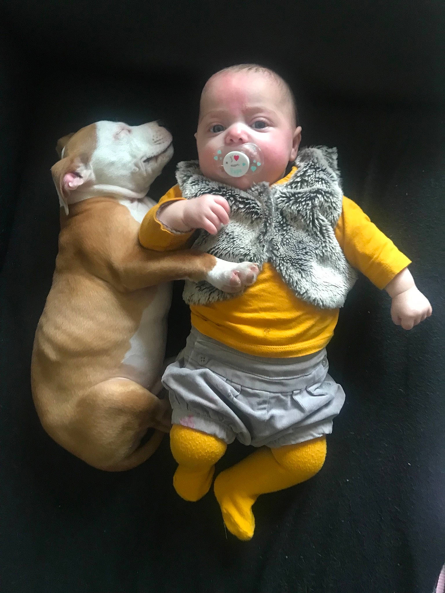Téa participe au concours pour gagner de l'argent avec cette photo : canidae, child, companion_dog, fawn, fun, muscle, person, toddler, yellow
