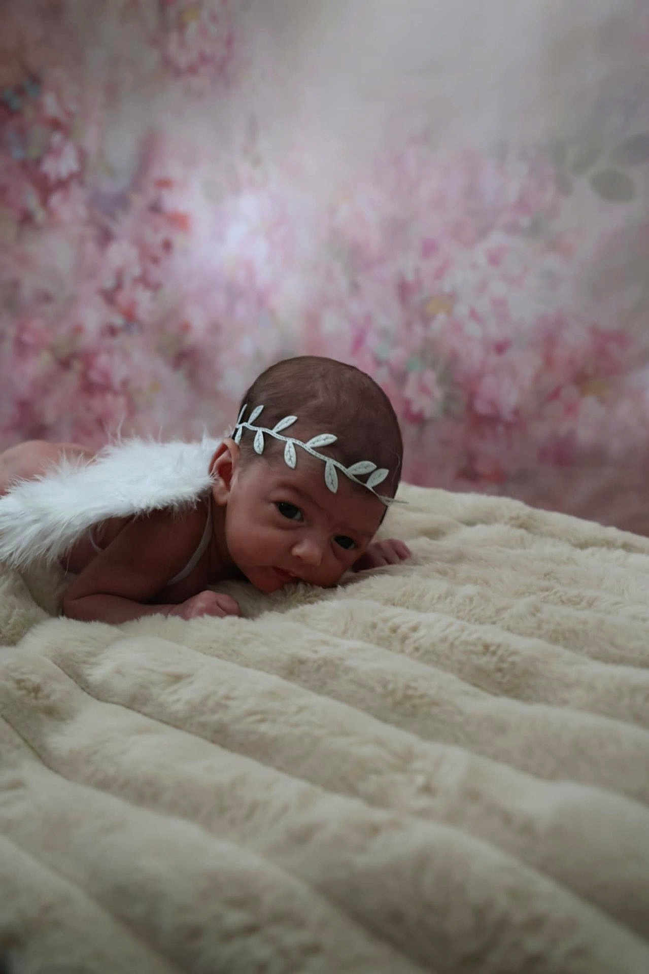 Aurora-Rose is registered to the contest to win money with this photo: baby, infant, angel_wings, headband, blanket, soft_texture, floral_background, lying_down, cute, portrait, newborn, skin, face, eyes, baby_clothing, indoor, adorable, child, peaceful, resting