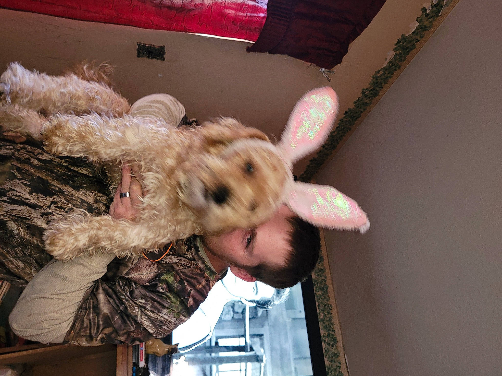 Coco joined the competition — help win amazing prizes! christmas, christmas_ornament, companion_dog, costume, ear, event, fashion_accessory, fawn, fun, fur, fur_clothing, happy, hat, holiday, human_body, room, selfie, stuffed_toy, teddy_bear, toy