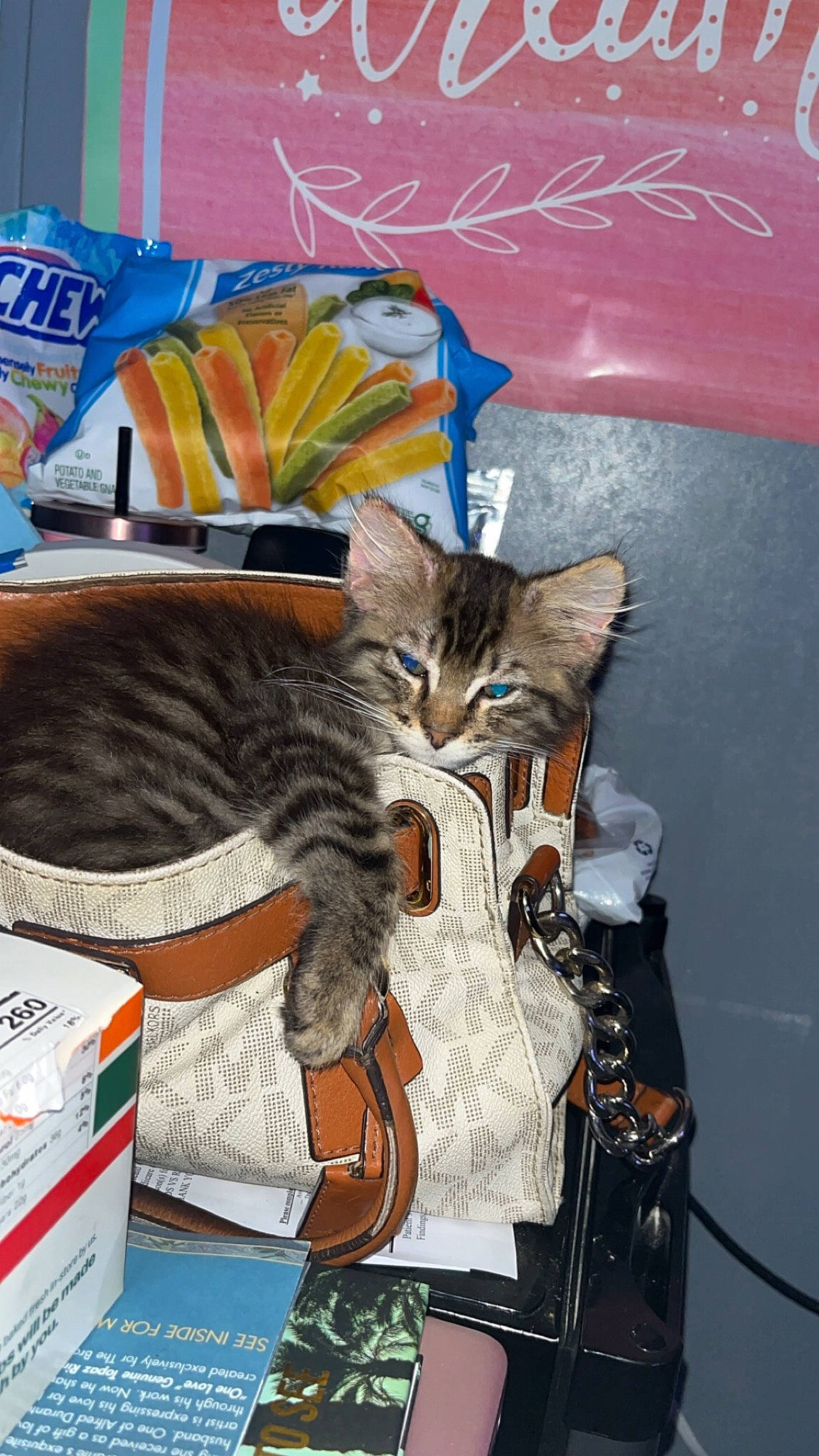 Leo is registered to the contest to win money with this photo: carnivore, cat, cat_supply, domestic_short_haired_cat, felidae, fur, organism, publication, room, small_to_medium_sized_cats, tail, whiskers