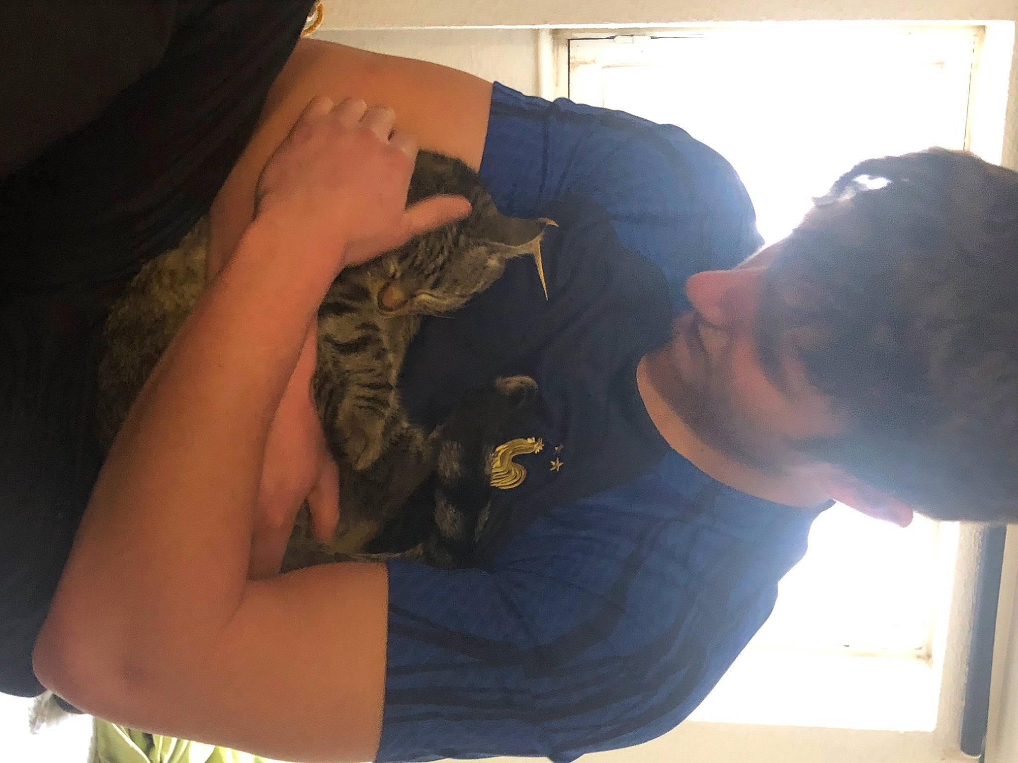 Millou a rejoint le concours — aidez-le/la à gagner de superbes lots ! black_hair, cool, ear, elbow, eyewear, felidae, finger, fun, fur, gesture, hat, nail, neck, pattern, room, shoulder, small_to_medium_sized_cats, t_shirt, tattoo, wrist