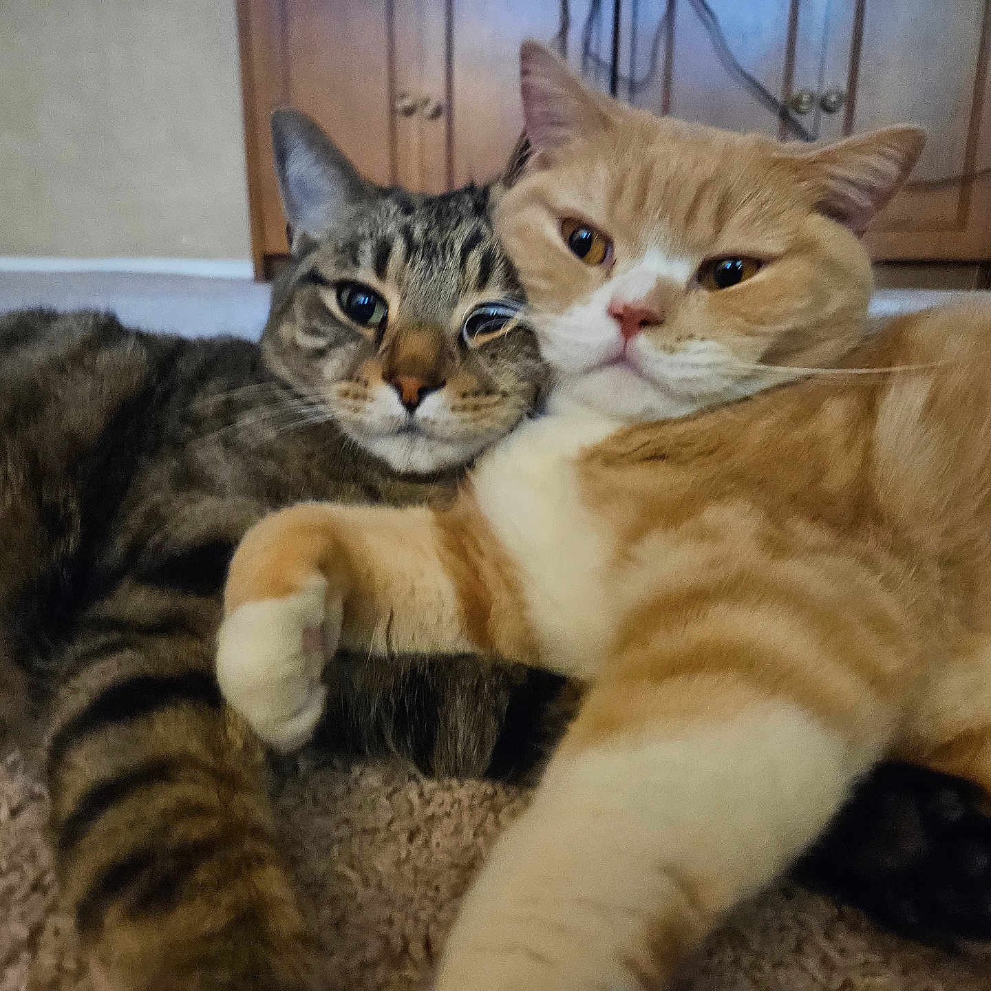 Jibyan And Hunter