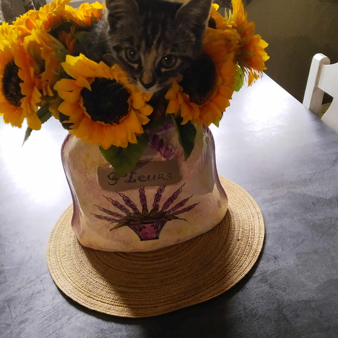 Kitty