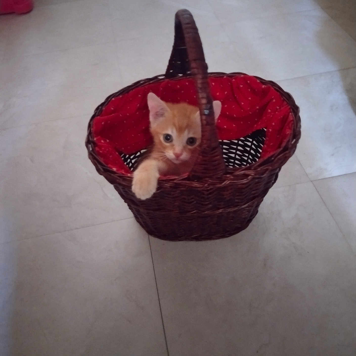 Gabriel