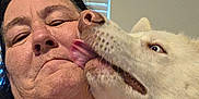 Apollo is registered to the contest to win money with this photo: affection, canine, casual, closeup, companion, dog, expression, face, friendship, happy, head, human, indoor, licking, love, pet, portrait, skin, white_dog, woman