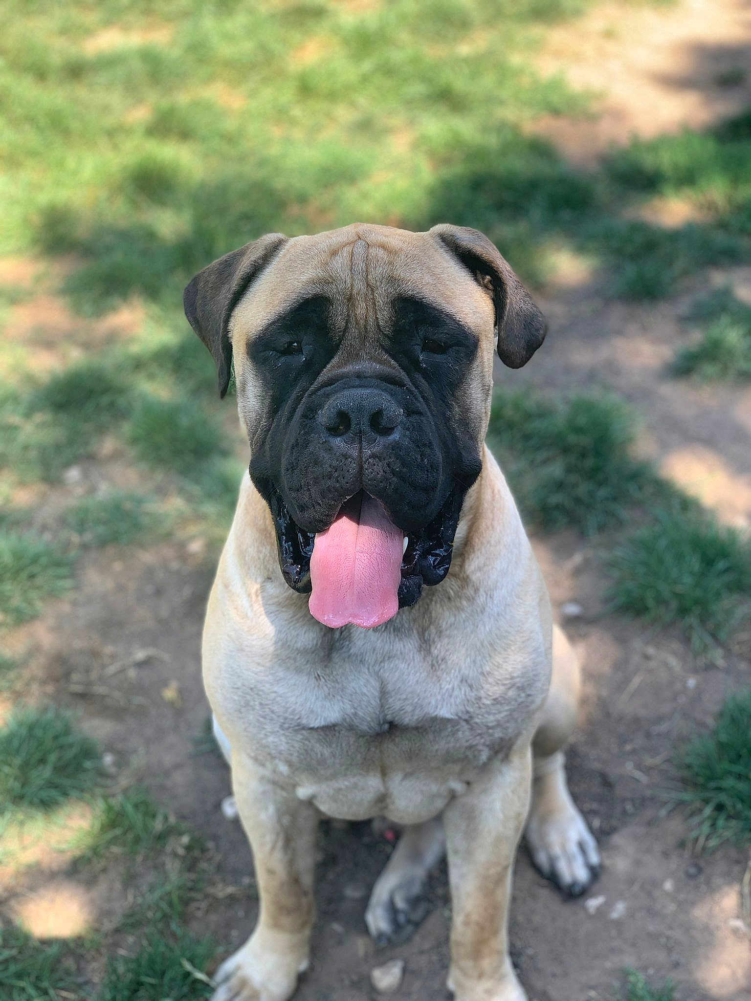 Taïbo