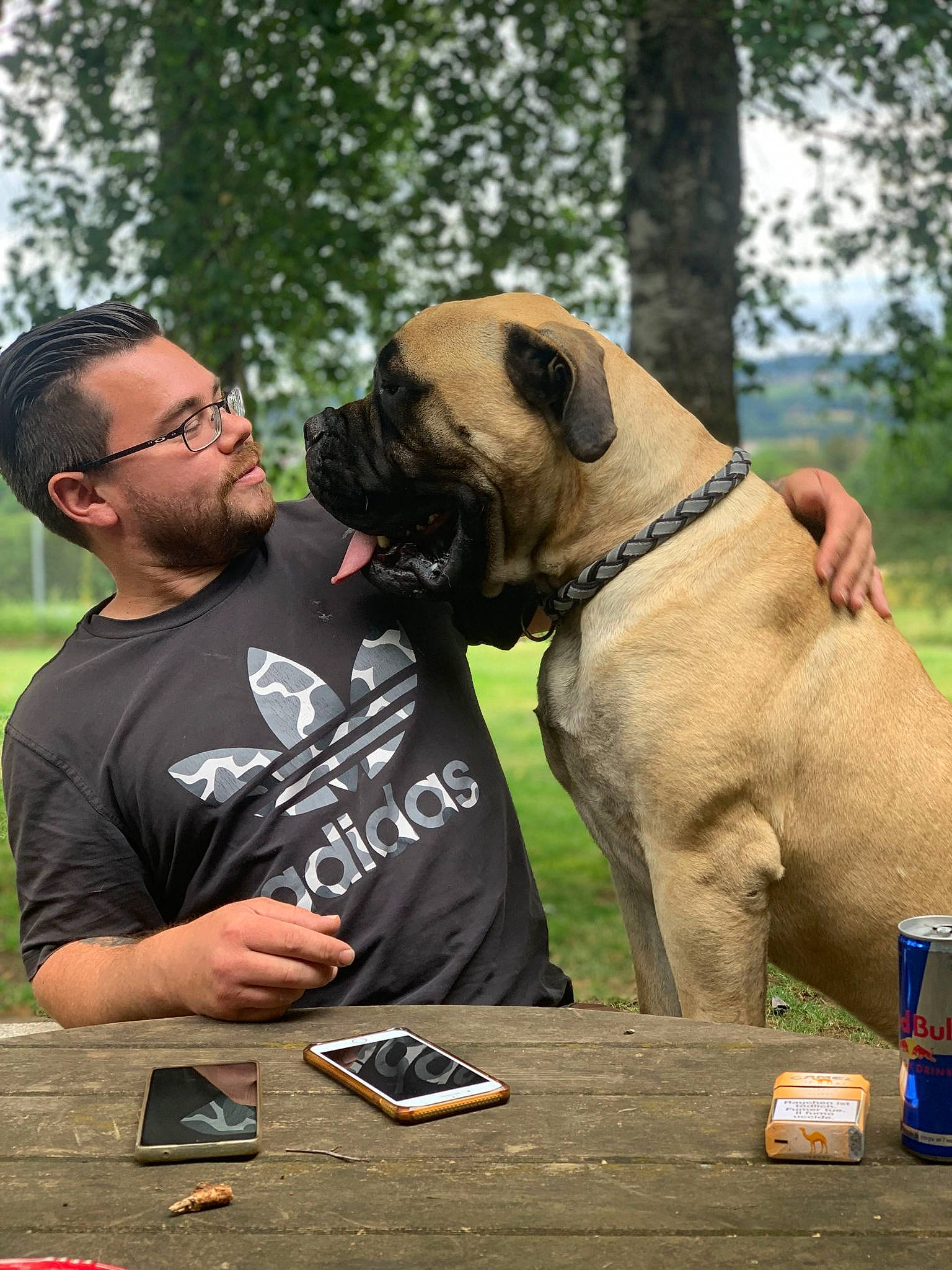 Taïbo a rejoint le concours — aidez-le/la à gagner de superbes lots ! carnivore, companion_dog, competition, dog, dog_breed, dog_collar, eyewear, fawn, fun, hat, leisure, plant, recreation, shorts, sky, sporting_group, sunglasses, t_shirt, table, tree