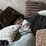 Lou a rejoint le concours — aidez-le/la à gagner de superbes lots ! baby, blanket, child, comfort, couch, cozy, furniture, home, hood, infant, interior, nap, peaceful, pillows, plush, relaxation, rest, sleeping, soft, wrapped
