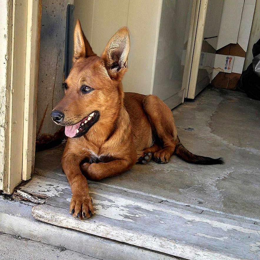 Toboe is registered to the contest to win money with this photo: