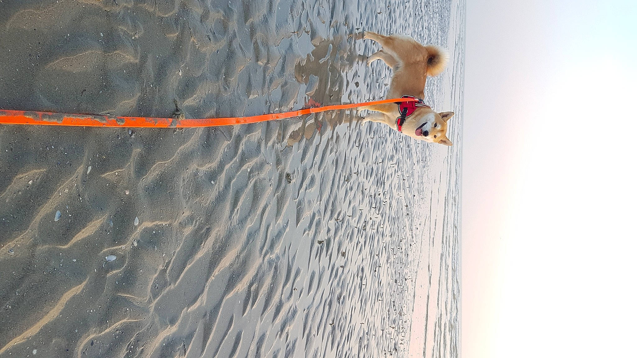 Replay participe au concours pour gagner de l'argent avec cette photo : adventure, beach, boats_and_boating_equipment_and_supplies, concrete, extreme_sport, fun, lake, landscape, leisure, recreation, reflection, rope, shadow, sky, water, wind, wind_wave, window, wire, wood