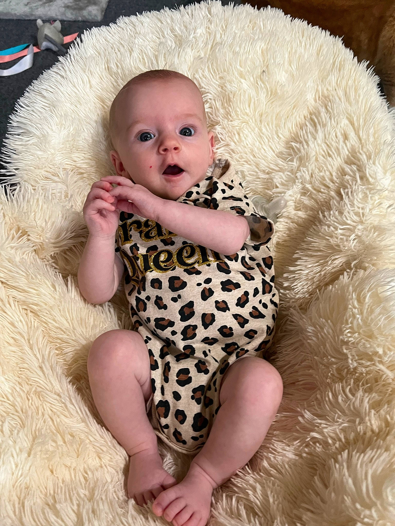 Ezmé is registered to the contest to win money with this photo: baby, baby_toddler_clothing, child, doll, dress, eye, fawn, foot, happy, head, human_body, iris, lip, mammal, person, sitting, skin, stuffed_toy, surprise, thigh