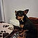 Ziggy