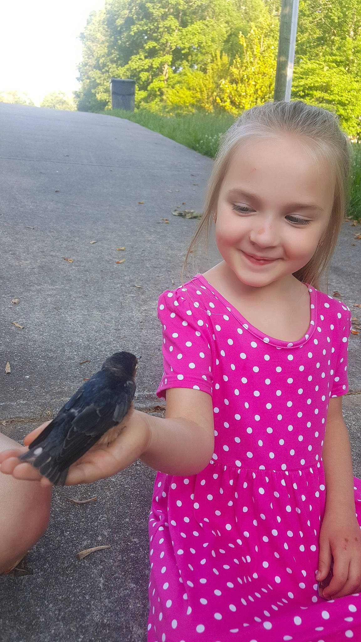 Ansleigh is registered to the contest to win money with this photo: arm, beak, beauty, bird, feather, finger, gesture, grass, hand, happy, joy, magenta, person, pink, plant, skin, smile, snapshot, summer, toddler