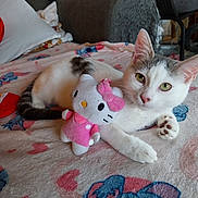 Marble a rejoint le concours — aidez-le/la à gagner de superbes lots ! cat, kitten, pet, plush_toy, hello_kitty, blanket, sofa, indoor, cozy, cute, white_cat, gray_cat, feline, resting, paw, toy, home, relaxed, animal, domestic_cat