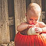 Joani is registered to the contest to win money with this photo: baby, child, pumpkin, orange, white_pumpkin, wooden_fence, grass, outdoor, autumn, fall, curious, sitting, nature, cute, seasonal, harvest, baby_skin, sunlight, daylight, person