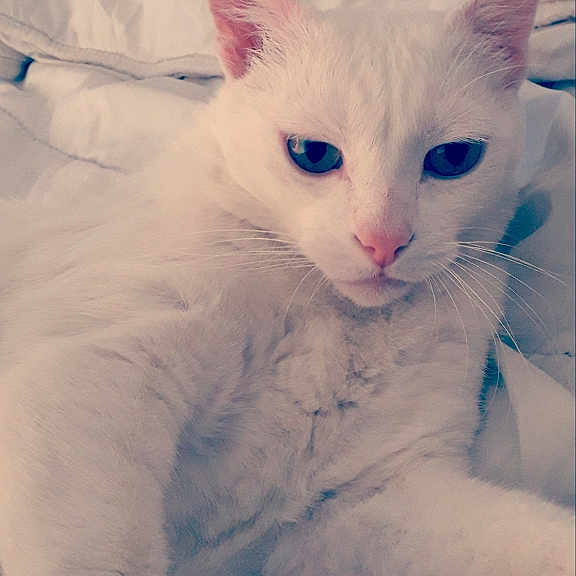 Marco