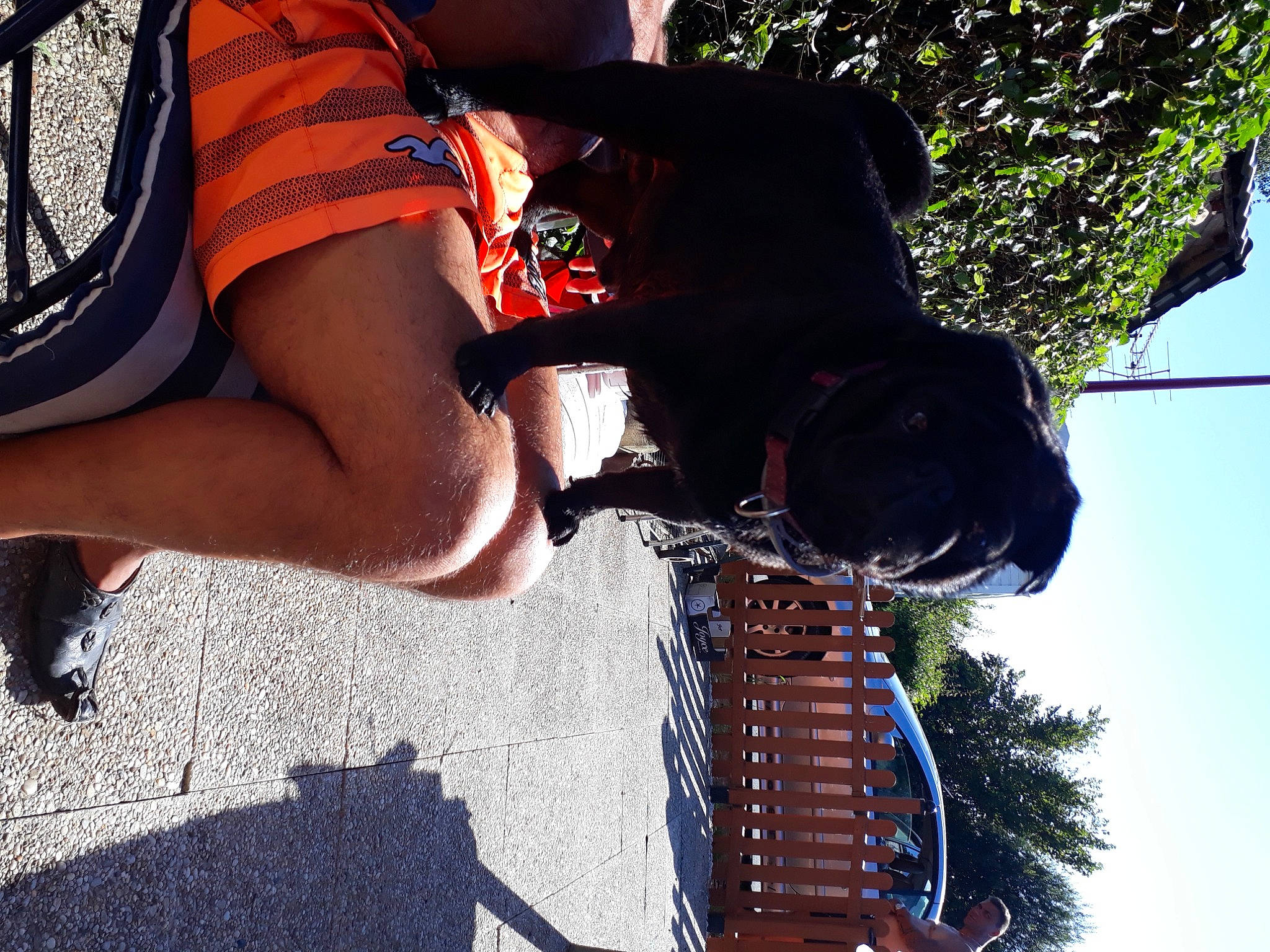 Hayden participe au concours pour gagner de l'argent avec cette photo : calf, cool, elbow, electric_blue, foot, fun, human_leg, knee, leisure, pattern, plaid, recreation, shorts, sky, sportswear, street_fashion, tartan, thigh, tree, waist