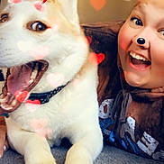 Sierra joined the competition — help win amazing prizes! dog, person, face, smile, happy, indoor, carpet, collar, augmented_reality, heart, filter, paw, tongue, closeup, pet, friendship, fun, cute, love, playful