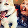 dog, person, face, smile, happy, indoor, carpet, collar, augmented_reality, heart, filter, paw, tongue, closeup, pet, friendship, fun, cute, love, playful