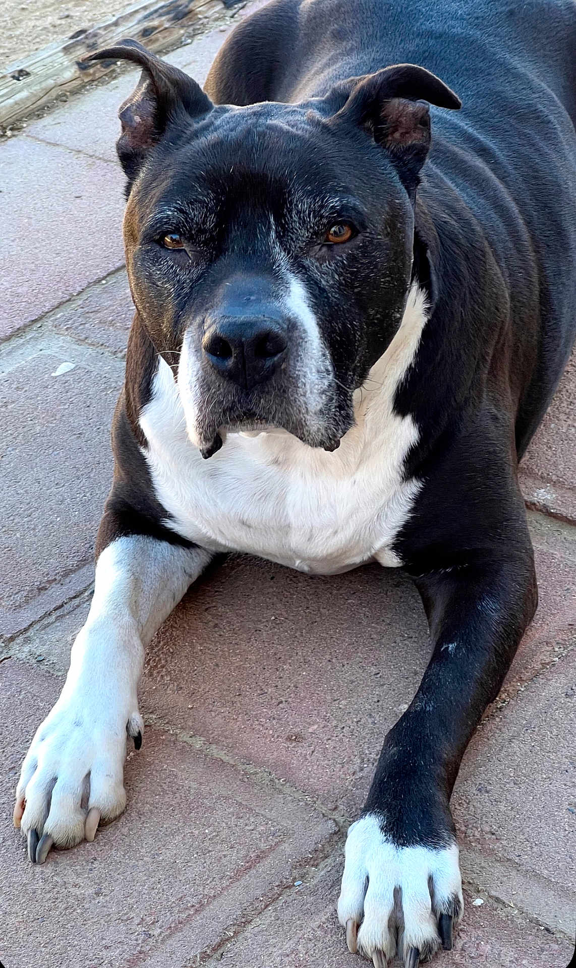 Jax