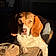 Bailey