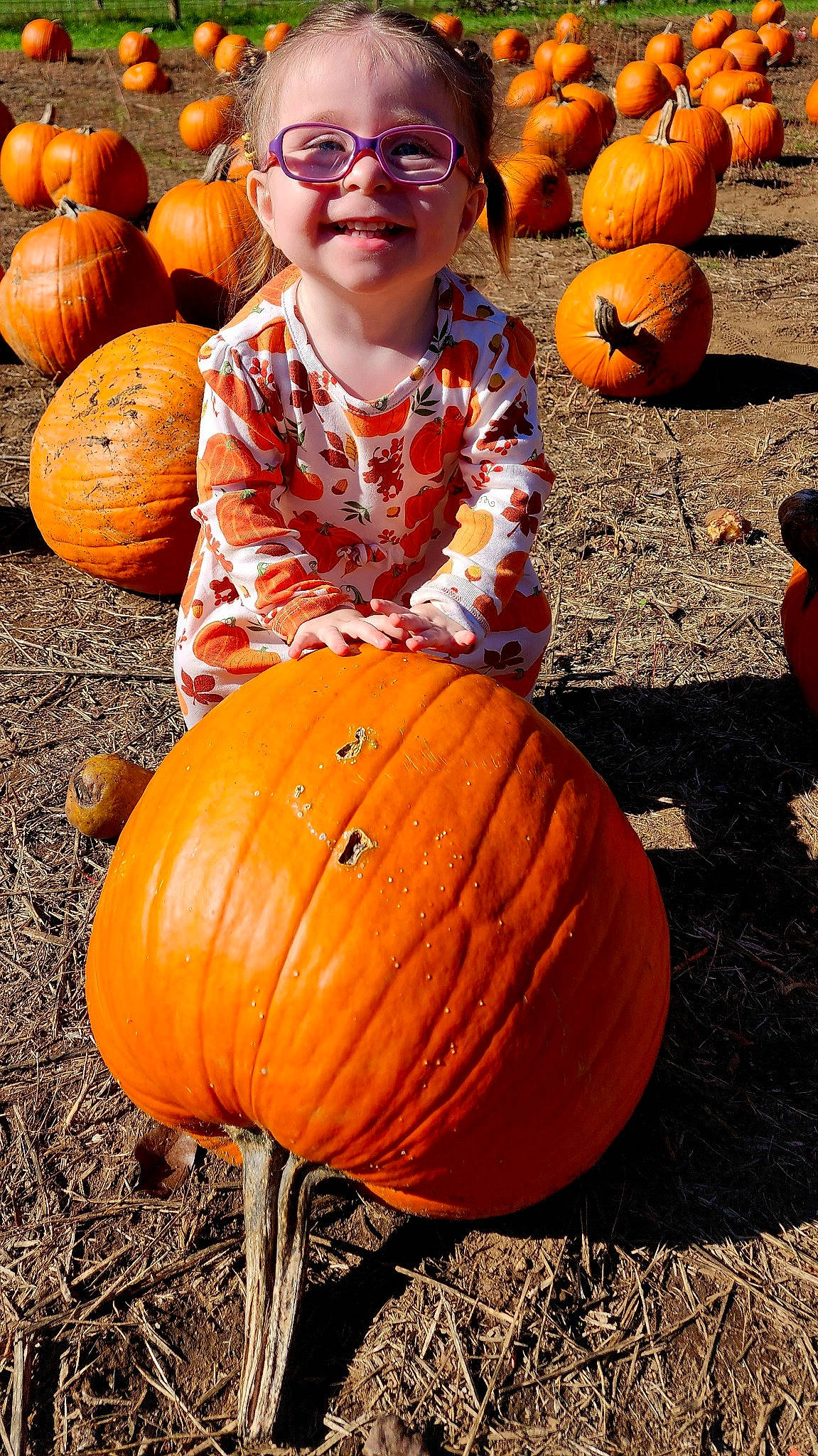 Madalyn joined the competition — help win amazing prizes! art, calabaza, cucurbita, eye, facial_expression, gourd, joy, leaf, local_food, natural_foods, orange, person, photograph, plant, produce, pumpkin, smile, squash, tints_and_shades, vegetable