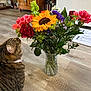 cat, tabby_cat, flower_bouquet, sunflower, rose, vase, wooden_floor, indoor, curious, pet, collar, plant, greenery, colorful, household, domestic, feline, sniffing, closeup, natural_light