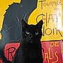 black_cat, cat, poster, vintage, yellow_background, red_text, indoor, pet, animal, sitting, feline, illustration, eyes, whiskers, fur, portrait, domestic_cat, art, decor, contrast