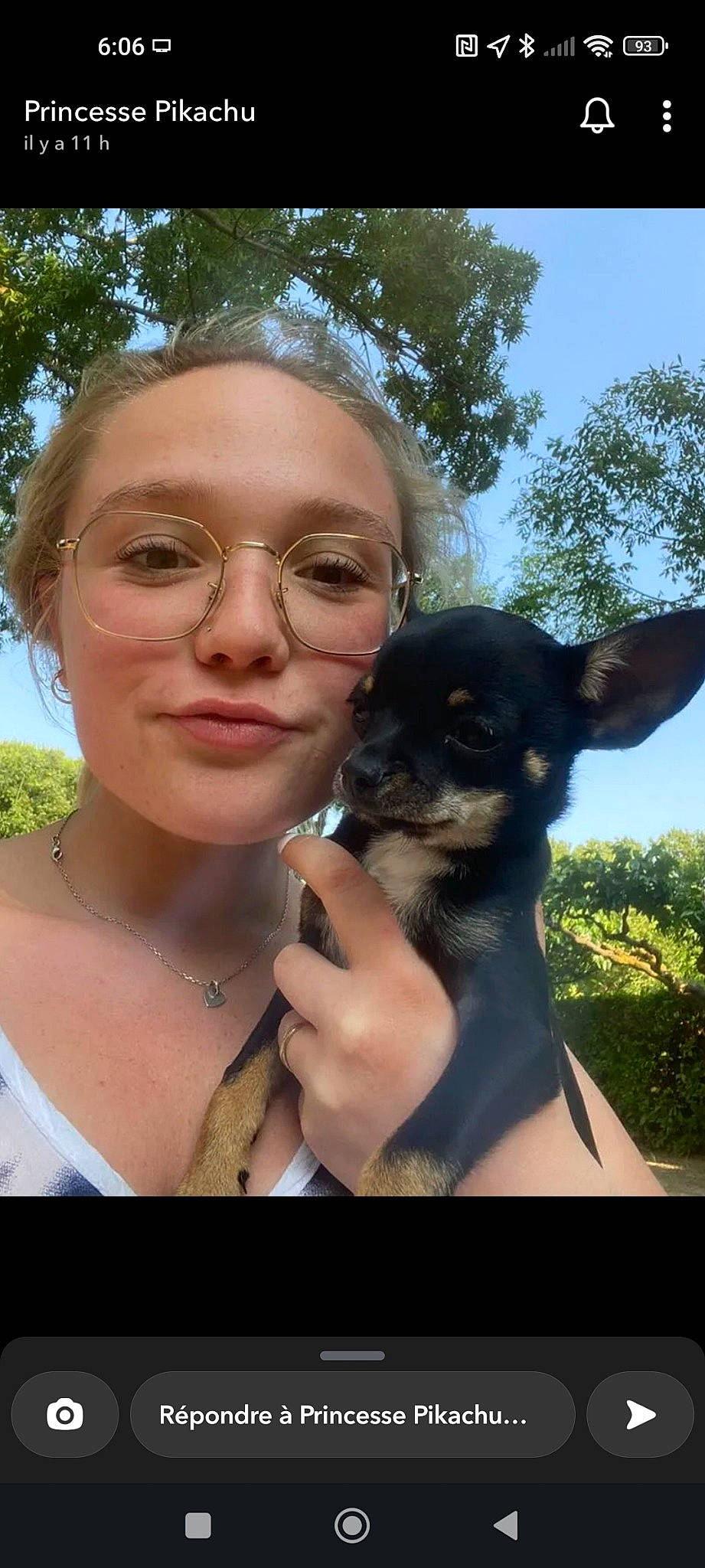 Sookie participe au concours pour gagner de l'argent avec cette photo : carnivore, companion_dog, cool, dog, dog_breed, ear, eye, eyewear, fawn, finger, gesture, glasses, happy, plant, sky, snout, toy_dog, tree, vision_care, working_animal