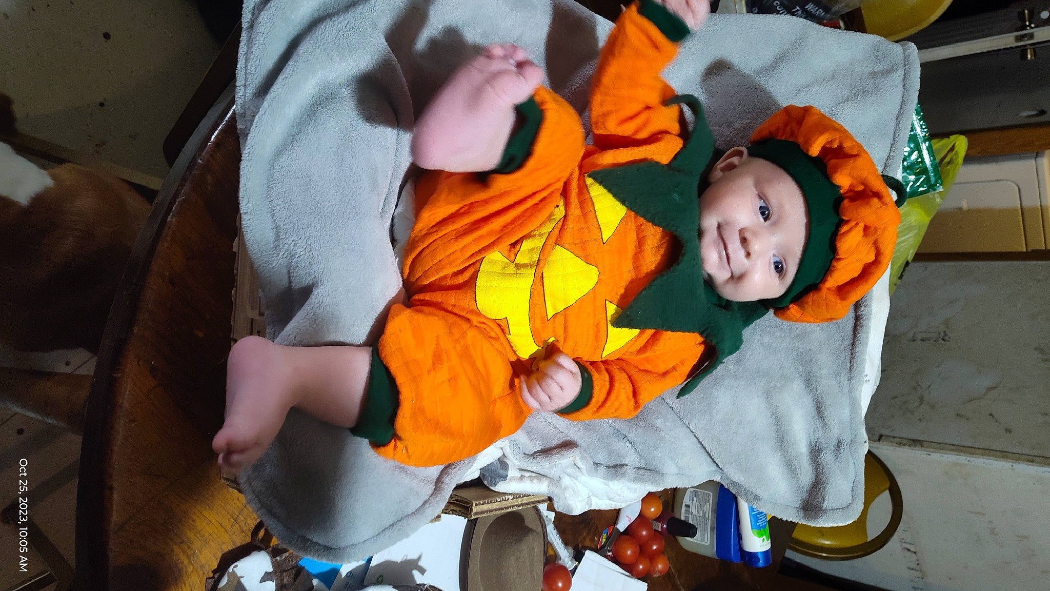 Ayden joined the competition — help win amazing prizes! baby, baby_products, child, costume, event, fun, happy, headwear, mouth, orange, person, personal_protective_equipment, toddler, tradition, trick_or_treat, yellow