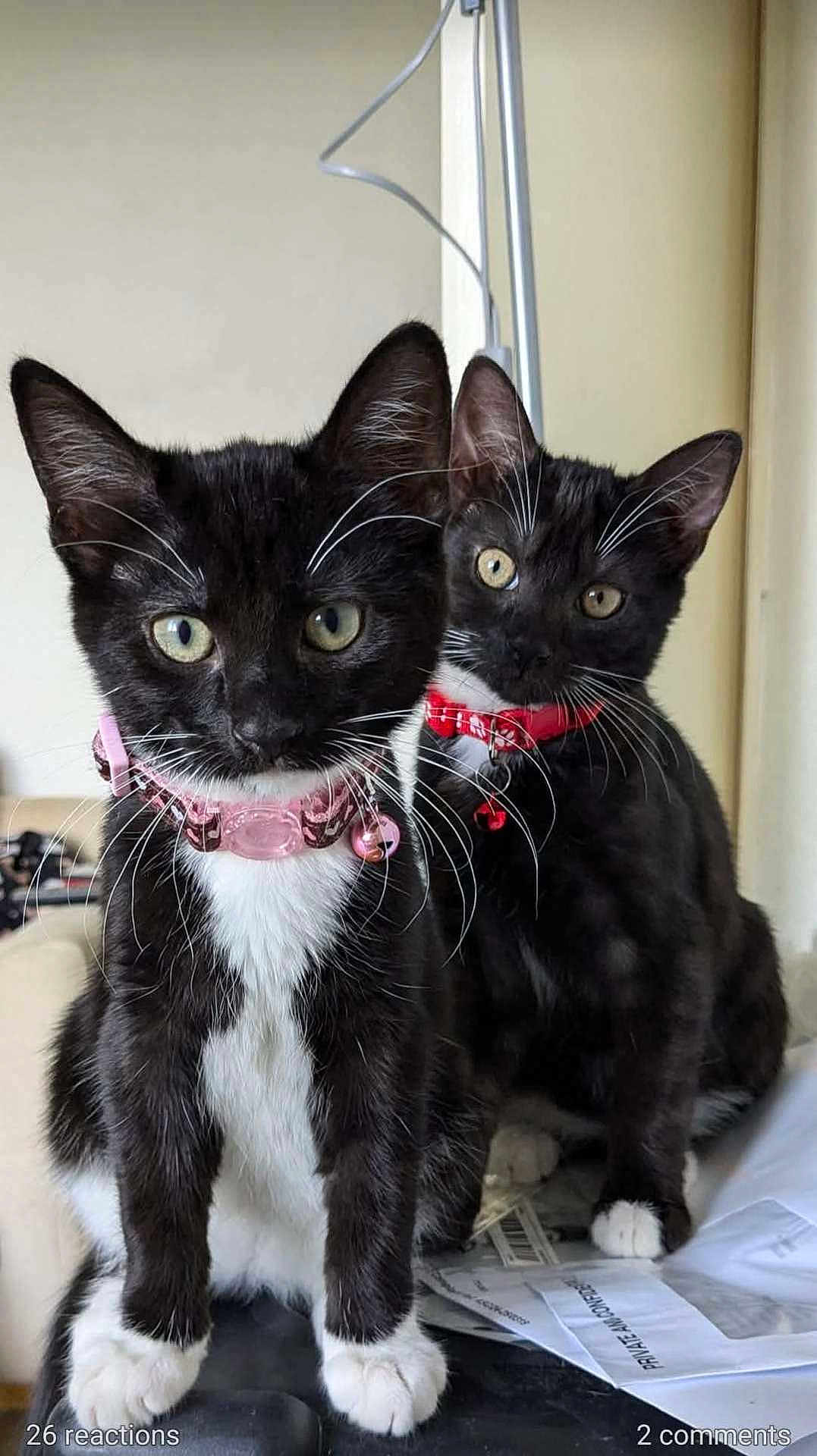 Denver And Wentz