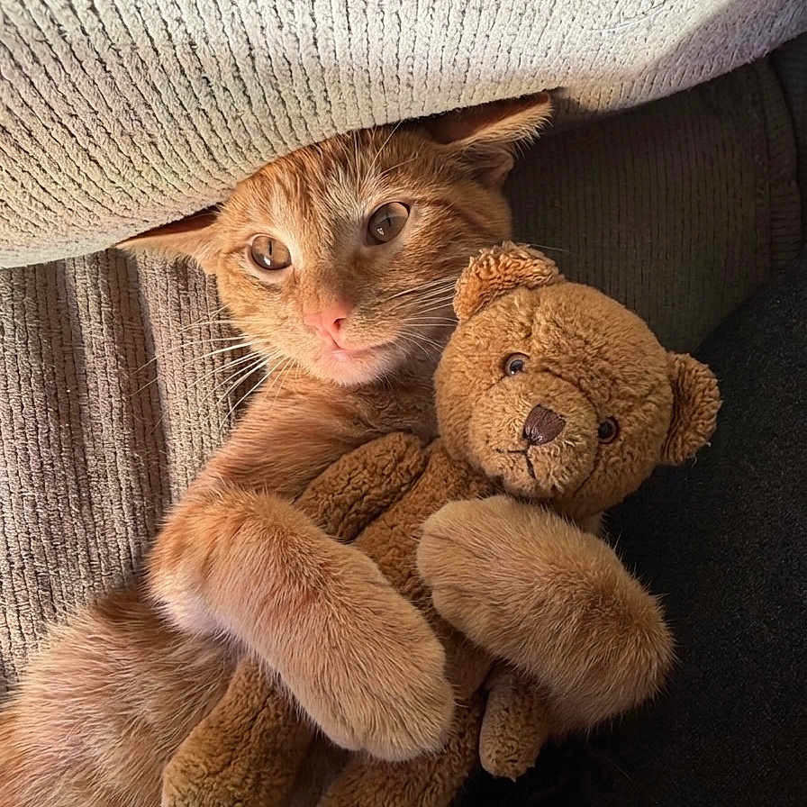 Honey